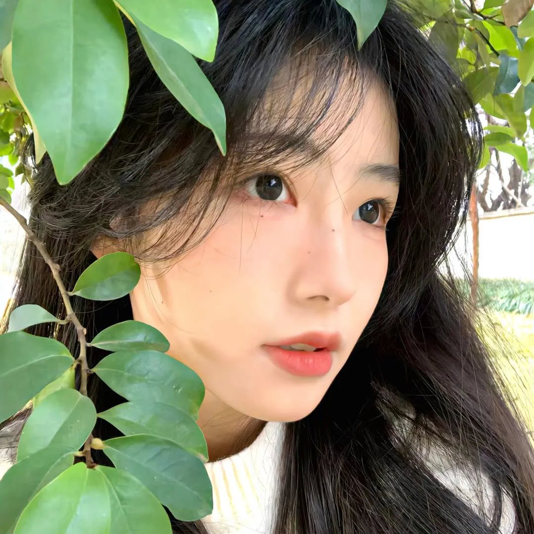 山中传奇国语