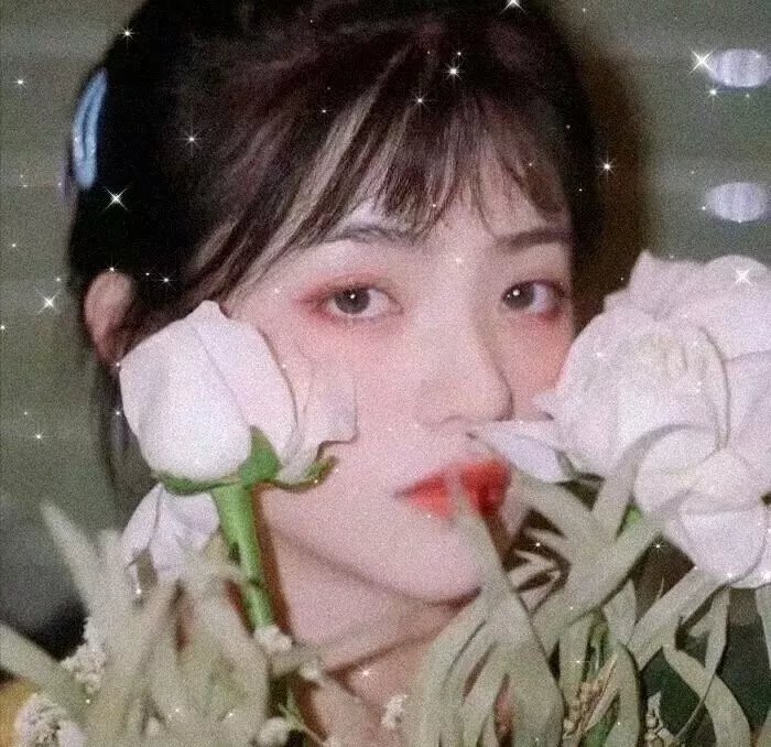 向玛丽致敬